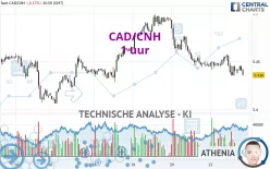 CAD/CNH - 1 uur