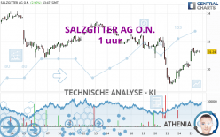 SALZGITTER AG O.N. - 1 uur