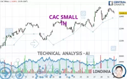 CAC SMALL - 1H