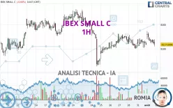 IBEX SMALL C - 1H