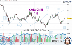 CAD/CNH - 1 Std.