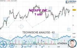 NETAPP INC. - 1 uur