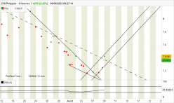 21S POLYGON - 4 Std.