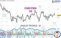 CAD/CNH - 1 Std.