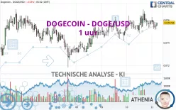 DOGECOIN - DOGE/USD - 1 uur