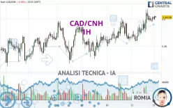 CAD/CNH - 1 Std.