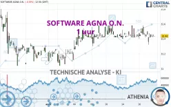 SOFTWARE AGNA O.N. - 1 uur