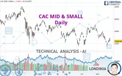 CAC MID &amp; SMALL - Daily