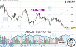 CAD/CNH - 1 Std.