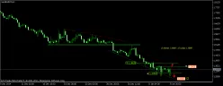 RAPESEED OIL - 4H