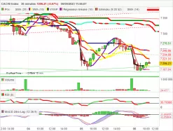 CAC40 INDEX - 30 min.