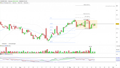 SYNOPSYS INC. - 4 Std.