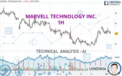 MARVELL TECHNOLOGY INC. - 1H