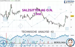 SALZGITTER AG O.N. - 1 Std.