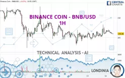 BINANCE COIN - BNB/USD - 1H