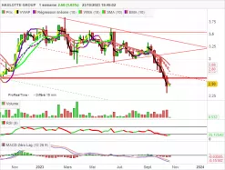 HAULOTTE GROUP - Hebdomadaire