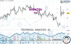 MONTEA - 1H