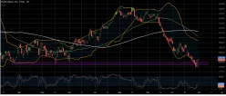 HOME DEPOT INC. THE - Daily