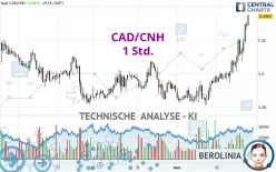 CAD/CNH - 1 Std.