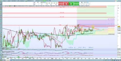 CROSSJECT - Semanal