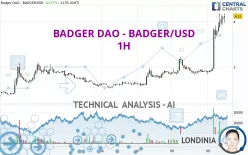 BADGER DAO - BADGER/USD - 1H