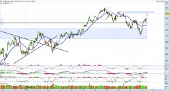 S&amp;P500 INDEX - Täglich