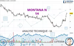 MONTANA N - 1H
