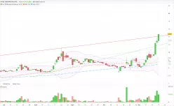 GYRE THERAPEUTICS INC. - Diario