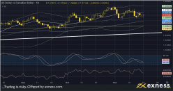 USD/CAD Price Analysis: Bears home in on daily trendline support