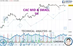 CAC MID &amp; SMALL - 1H