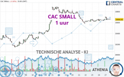 CAC SMALL - 1 uur