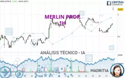 MERLIN PROP. - 1 uur