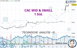 CAC MID &amp; SMALL - 1 Std.