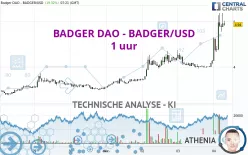 BADGER DAO - BADGER/USD - 1 uur