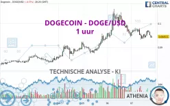 DOGECOIN - DOGE/USD - 1 uur