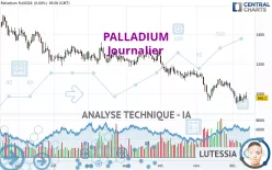 PALLADIUM - Dagelijks