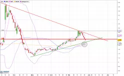 VIRIDIEN - Daily