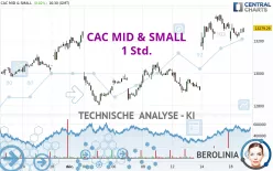 CAC MID &amp; SMALL - 1 Std.