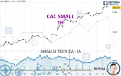 CAC SMALL - 1H