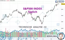 S&amp;P500 INDEX - Täglich