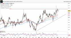 MICRO GOLD FULL0824 - Daily