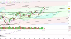 MICHELIN - Semanal