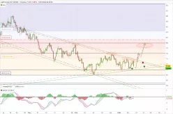 WTI CRUDE OIL - 8H