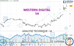 WESTERN DIGITAL - 1 uur