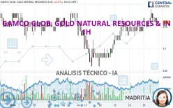 GAMCO GLOB. GOLD NATURAL RESOURCES &amp; IN - 1H