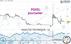 POXEL - Dagelijks