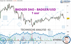 BADGER DAO - BADGER/USD - 1 uur