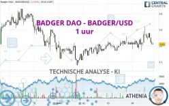 BADGER DAO - BADGER/USD - 1 uur