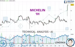 MICHELIN - 1H