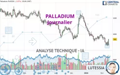 PALLADIUM - Dagelijks